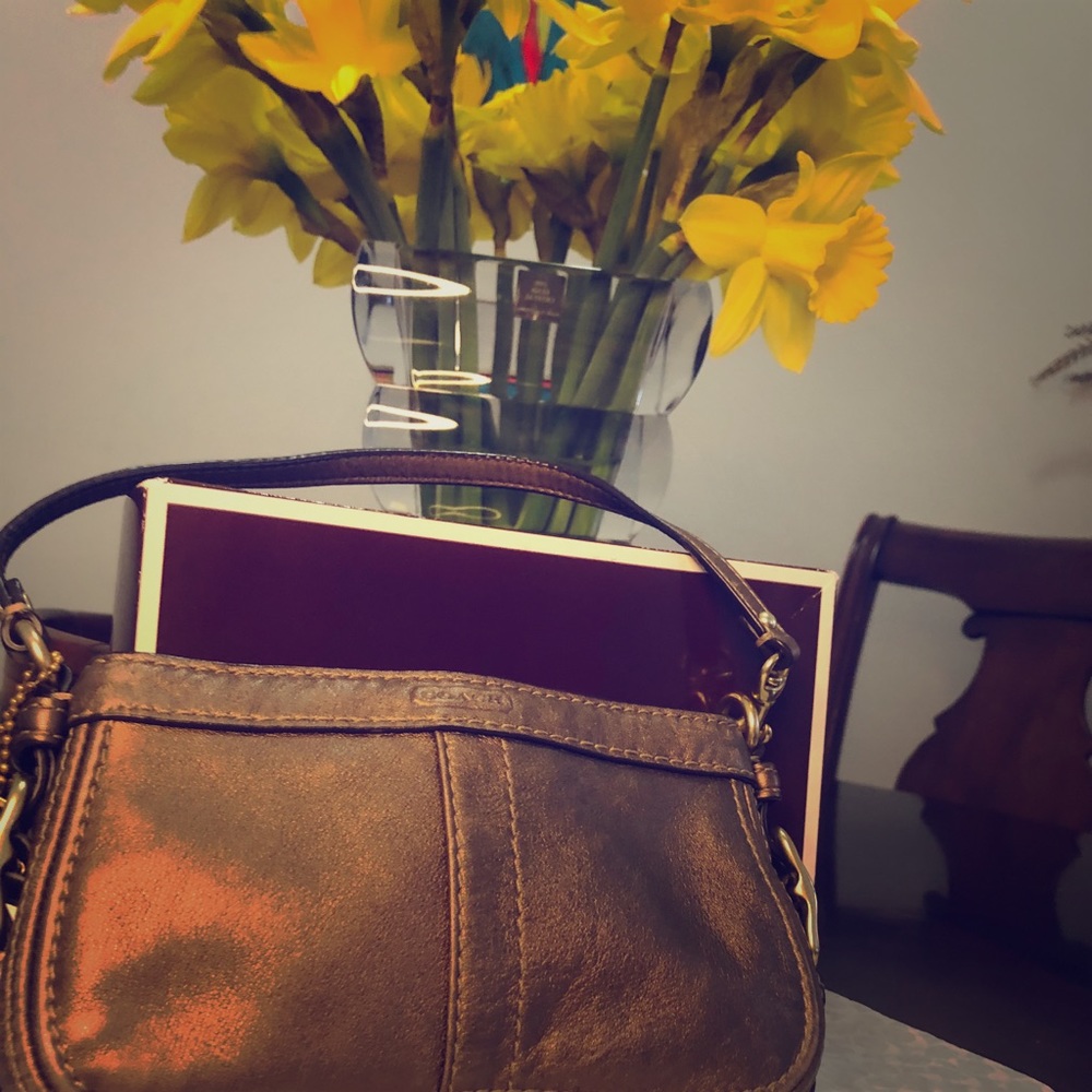 Coach Clutch Bag